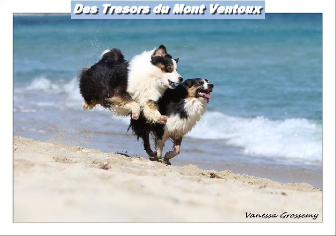 des Tresors du Mont Ventoux - Reportage photo a St Tropez av Vanessa